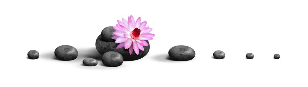 seminare_einstieg_motiv-steine-blume_v1_960x270