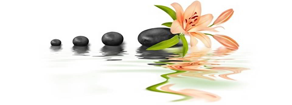 uebersichtsseite_freisteller_2_v1_960x345